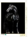 Puzzle &middot; Schwarze Eleganz - Pferde Rappe | 1000 Teile &middot; Lege-Gr&ouml;&szlig;e 64 &times; 48...