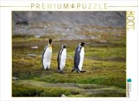 Puzzle &middot; K&ouml;nigspinguinp&auml;rchen mit Jungem | Ein Motiv aus dem Kalender...