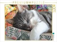 CALVENDO Puzzle EIN Motiv aus dem Kalender H&auml;ng einfach mal ab | 1000 Teile