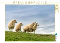 Puzzle &middot; EIN Motiv aus dem Kalender Naturerlebnis R&oslash;m&oslash; | Neugierige Schafe...