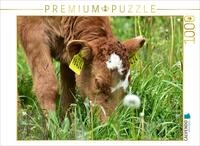CALVENDO Puzzle Die wei&szlig;e Blesse auf der Stirn Macht das K&auml;lbchen einmalig. |...