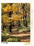 Puzzle &middot; Abstieg | 1000 Teile &middot; Lege-Gr&ouml;&szlig;e 64 &times; 48 cm &middot; CALVENDO Puzzle