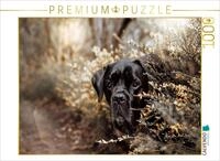 Puzzle &middot; Cane Corso | W&auml;chter der Stille &middot; Ein Blick, der in die Tiefe...