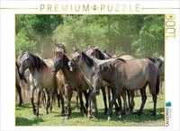 CALVENDO Puzzle Stutenherde im Merfelder Bruch | 1000 Teile Lege-Gr&ouml;&szlig;e 64 x...