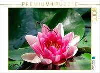 CALVENDO Puzzle Libellen an Einer Seerose | 1000 Teile Lege-Gr&ouml;&szlig;e 64 x 48 cm