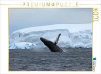 CALVENDO Puzzle EIN Motiv aus dem Kalender Die Antarktis/CH-Version | 1000 Teile