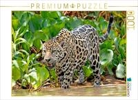 CALVENDO Puzzle Jaguar auf der Pirsch | 1000 Teile Lege-Gr&ouml;&szlig;e 64 x 48 cm