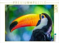 CALVENDO Puzzle Farbenfroher Riesentukan | 1000 Teile Lege-Gr&ouml;&szlig;e 64 x 48 cm