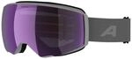 ALPINA Unisex Granby 2 S Q-lite Skibrille (1er Pack)