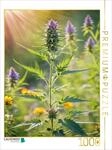Puzzle &middot; Marihuanabl&uuml;te im Sonnenlicht - Hanfpflanze im Sommer | Eine