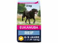 Eukanuba Hundefutter mit frischem Huhn für große Rassen, Premium...