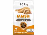 IAMS Junior Katzenfutter trocken mit Huhn - Trockenfutter für Kitten im Alter...
