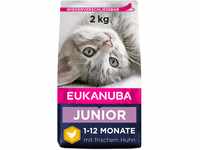 Eukanuba Junior Katzenfutter trocken - Premium Trockenfutter für Kitten von...