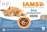 IAMS Delights Sea Collection Katzenfutter Nass - Multipack mit Fisch Sorten (Lachs,