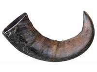 TX-27743 Buffalo Chewing Horn Large