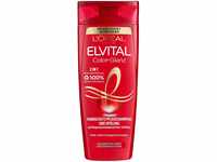 L'Oréal Paris Elvital Farbschutz Shampoo und Conditioner, Für coloriertes oder