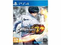 DEEP SILVER The King of Fighters XIV (14)