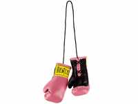 BENLEE Rocky Marciano Unisex Miniature Boxing Gloves, Rose, Einheitsgröße EU