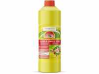 Bogaclean Clean & Smell Free Concentrate - Geruchsentferner & Reiniger - Ideal...