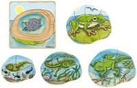 Beleduc 17053 - Lagenpuzzle Frosch