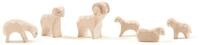 Ostheimer 66030 - Schafgruppe, 6-teilig - Minis mit Geschenkkiste, 6 Teile