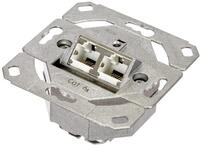 Gira 245200 Netzwerkdose 2-fach Cat.6A IEEE 802.3an Unterputz Einsatz