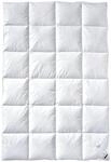 Billerbeck Daunendecke - E04 Gold Edition - Bettdecke f&uuml;r den Winter - 135 x 200 cm