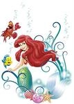 Arielle Wandtattoo von Disney f&uuml;r das Kinderzimmer - Gr&ouml;&szlig;e 50x70 cm - Wandsticker,
