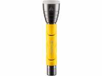 VARTA Taschenlampe LED inkl. 2x AA Batterien, Outdoor Sports F20, Leuchte,...