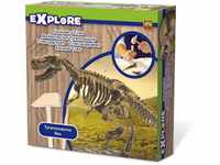 SES Creative Explore T-Rex ausgraben Spiel, Mehrfarbig, 44