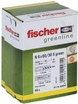 Fischer 524847 Nageld&uuml;bel N GREEN 6 x 60/30 S Senkkopf, 45 St&uuml;ck