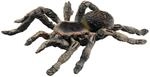 Bullyland Wei&szlig;knie Vogelspinne 8,5 cm Spielzeug Figur f&uuml;r Kinder | Spielfigur