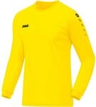 JAKO Kinder Trikot Team (Langarm), Citro, 116
