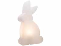 Shining Rabbit 70 cm