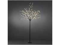 Konstsmide 3385-600 LED Dekoration "Lichterbaum 2,5m", braun / für Außen...