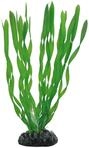 Hobby Vallisneria, 20 cm