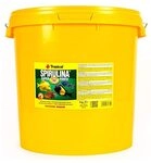 Tropical Super Spirulina Forte Flockenfutter mit 36% Spirulina (Platensis)...