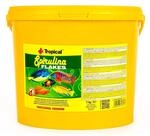 Tropical Spirulina Flakes Pflanzliches Flockenfutter mit Spirulina, 1er Pack (1 x 5