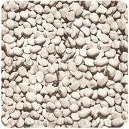Kleine Wolke Duscheinlage Stepstone, 55 x 55 cm, Natur