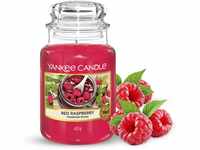 Yankee Candle Duftkerze im Glas (groß) | Red Raspberry | Brenndauer bis zu 150