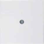 Hager Zentralplatte Schraube S1 Brillo-BP