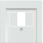 Schneider Electric Merten Zentralplatte f&uuml;r TAE, 296025 | Audio und USB, System M,