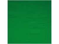 Walimex 16550 Stoffhintergrund 2,85 x 6 m, chroma key grün