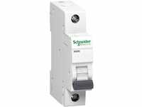 Schneider Electric A9K01125 Leitungsschutzschalter K60N 1P, 25A, B...