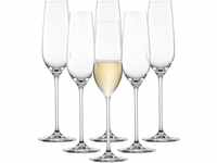 SCHOTT ZWIESEL Sektglas Fortissimo (6er-Set), elegante Champagner Gläser mit