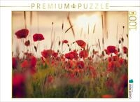 CALVENDO Puzzle Mohnblumen im Abendlicht | Lege-Gr&ouml;&szlig;e cm Foto-Puzzle f&uuml;r