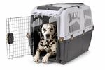 Transportbox "Skudo 6 IATA" grau L x B x H: 92 x 63 x 70