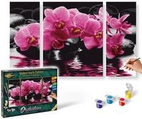 Schipper 609260603 Malen nach Zahlen, Orchideen - Bilder malen f&uuml;r Erwachsene,