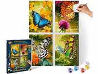 Schipper 609340628 Malen nach Zahlen, Schmetterlinge - Bilder malen für...