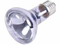 Trixie 76007 Neodymium Wärme-Spotlampe, ø 63 × 100 mm, 75 W